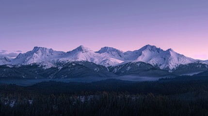 Naklejka premium A breathtaking panorama of snow-covered mountains rising above a dark, evergreen forest under a clear, purple morning sky.