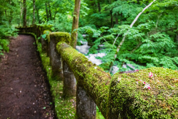 Mossy Railing Overlooking a Cascading Stream, Oirase River, Aomori, Japan