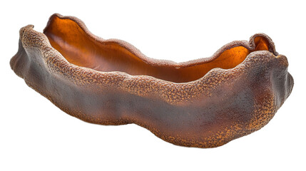 Obraz premium Closeup of a Dried Sea