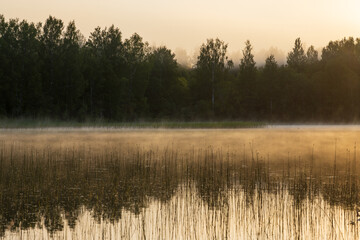 Morning fog on a forest lake. View of the lake and trees on the shore. Golden morning light at dawn. Summer landscape. Beautiful natural background. Ecological tourism and recreation in nature.
