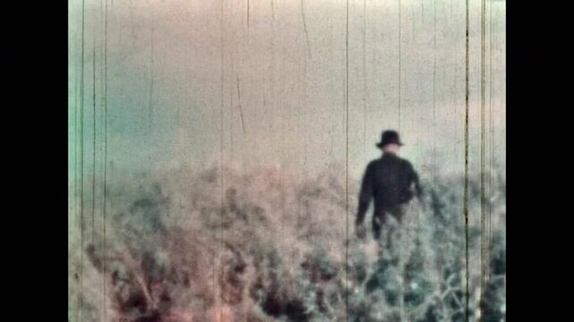 Back view, lonely man walking into wild field distance through tall grass. Alone person walk by wilderness vast prairie field. Rural life under expansive sky. Vintage color film. Retro 1960s archive