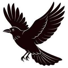eagle in flight