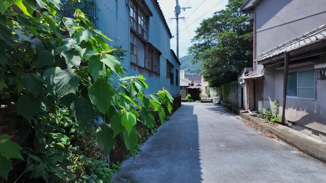 夏の長崎県対馬市厳原の風景