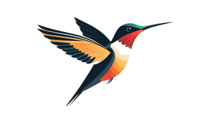 Obraz premium Colorful Hummingbird in Flight