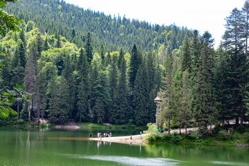 lake and forest