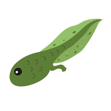 green tadpole swimming, simple design clip art preview