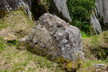 moss on stone