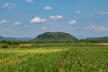 Fototapeta premium rice field in the mountains