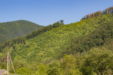landscape in the mountains