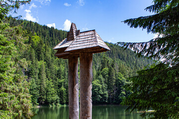gazebo in the park