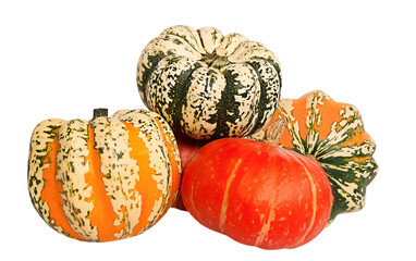 Pumpkins isolated. The beginning of autumn and the harvest of various types of decorative colorful...