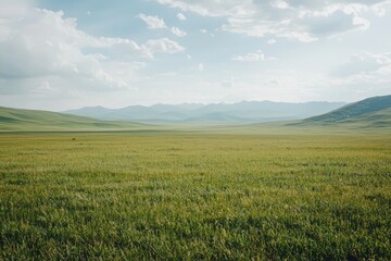 Obraz premium A serene landscape featuring vast green fields under a cloudy sky, perfect for nature and outdoor themes.