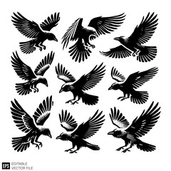 Obraz premium set of raven vector illustration black and white silhouette graphic design template