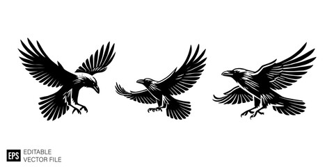set of raven vector illustration black and white silhouette graphic design template