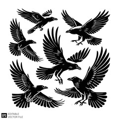 Obraz premium set of flying raven vector illustration black and white silhouette graphic design template