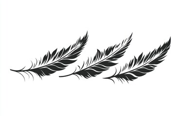 Obraz premium Three Black Feather Silhouettes on White Background