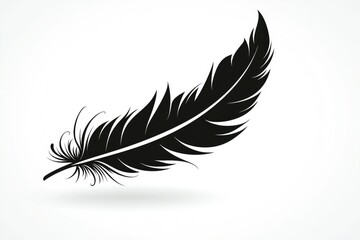 Obraz premium Black Feather Silhouette Illustration