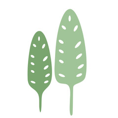 Two green tropical leaves with perforated patterns
