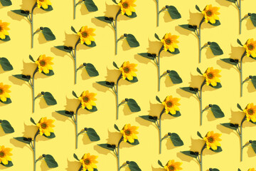 Floral linear pattern sunflowers with green leaf at sunlight on yellow background. Nature...