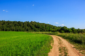 Dirt road along green farm field in countryside