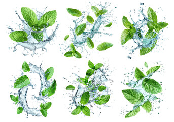 Set of fresh green mint leaves splashing with water, cut out