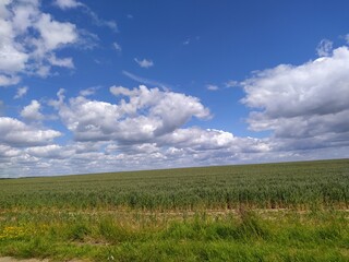 Obraz premium Spring field