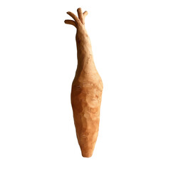 Fototapeta premium Clay rendering of a carrot, on a isolated transparent background
