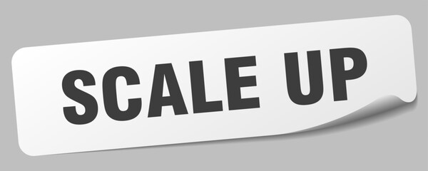 SCALE UP
