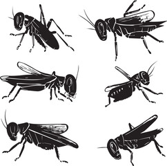 A set of insects. Hand drawn vector illustration	