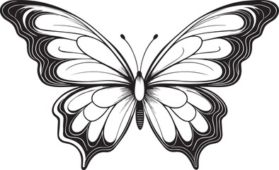 butterfly silhouette vector
