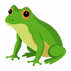 Cuban Tree frog vector artwork