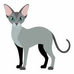 Devon Rex cat vector art