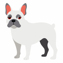 French Bull dog vector artwork