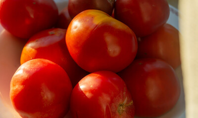 Red tomatoes on a white plate close-up. A pile of large red tomatoes, close-up