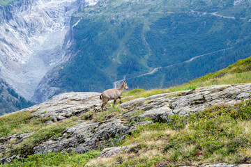 Étagne dans le massif des Alpes