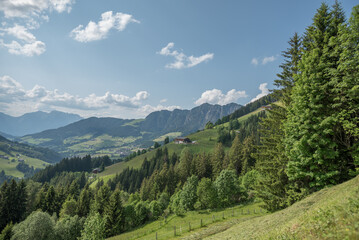 Fototapeta premium Landschaft bei Alpbach, Tirol