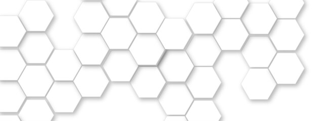 Vector technology background with hexagon concept design. Embossed Hexagon , honeycomb white shadow. Luxury White 3D futuristic honeycomb mosaic white background.