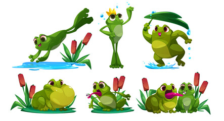 Cute frog cartoon character mascot in different poses - green pond animal toad jump into water, stand with crown, cover head with leaf during rain, sit on grass and reed, catch insect with tongue. © klyaksun