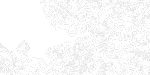 White wave paper curved reliefs abstract background. The topographic map contour in lines isolated. Abstract white topographic map background with lines. Background of the topography map.