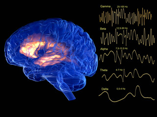 Brain waves