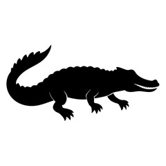 crocodile isolated on white