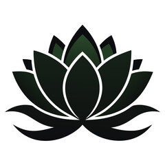 lotus flower vector