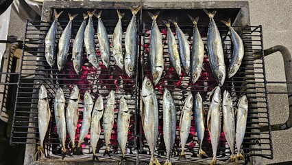 fish on the market