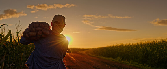 Farmer carrying a sack of potatoes on his shoulder walks down a dirt road at sunset, surrounded by...