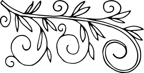 Decorative elements of curls with leaves. Vector illustration. Hand drawing.