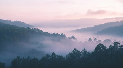 Fototapeta premium Purple mist filling the valley surrounded by forest at sunrise