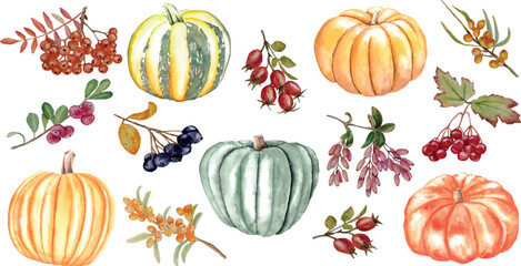 Vector autumn set of pumpkins and rose hips viburnum rowan sea buckthorn cranberries, isolated on white background, watercolor illustration, for card invitation design