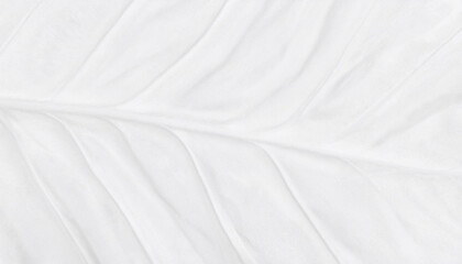 Fototapeta premium Tapeta, tło z motywem tekstury liścia. Generative AI