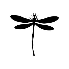 Dragonfly icon vector. Insect illustration sign. Butterfly symbol or logo.