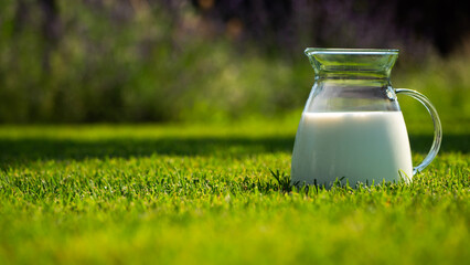 Pitcher of fresh milk on vibrant green grass in a backyard